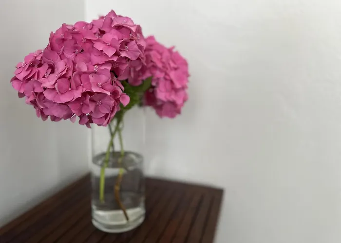 Apartamento Parola